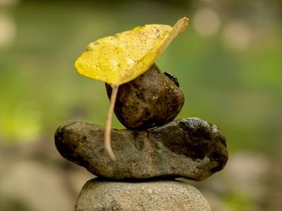 A stack of perfectly balanced stones on a serene background.