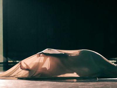 Abstract shape representing a fluid body movement.