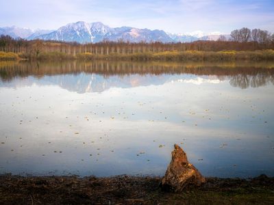 Peaceful natural landscape with still water and clear sky.